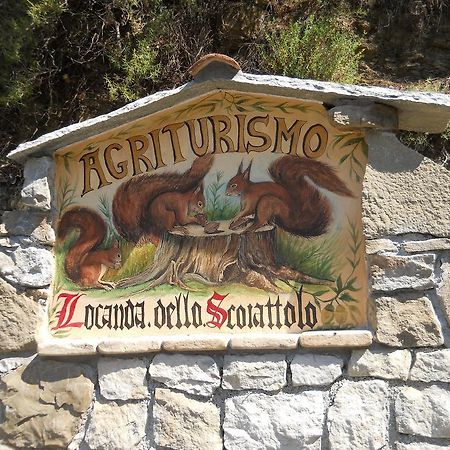 Lo Scoiattolo Villa Ventimiglia Ngoại thất bức ảnh